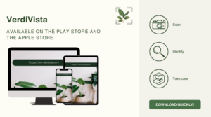 Visual presentation of the VerdiVista app available on Play Store and Apple Store, allowing users to scan, identify, and easily care for indoor plants.