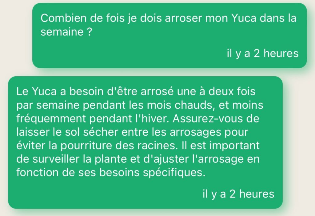 Capture d'écran d'un échange avec l'assistant virtuel VerdiVista répondant précisément à une question sur la fréquence d'arrosage du Yucca pour prévenir la pourriture des racines.