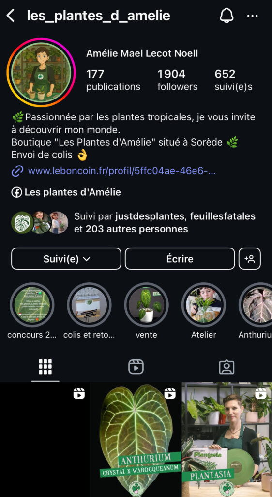 Capture du compte Instagram d’Amélie, fondatrice d’une boutique végétale et créatrice de vidéos originales sur les plantes tropicales et rares.