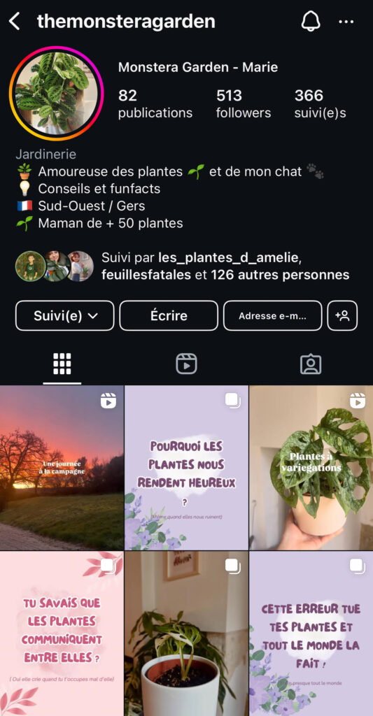 Capture du profil Instagram de Marie, alias themonsteragarden, passionnée de plantes et créatrice de contenus pédagogiques depuis le Sud-Ouest de la France.