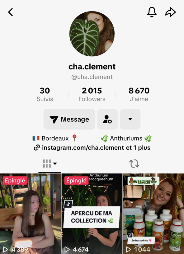 Profil TikTok de @cha.clement avec photo et nombre d’abonnés